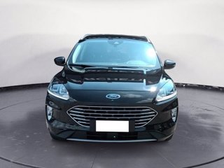 FORD Kuga 1.5 EcoBlue 120 CV 2WD Titanium