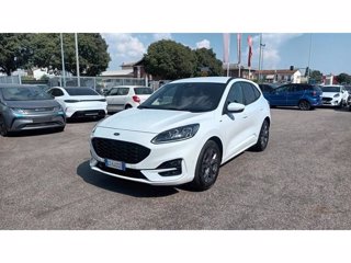 FORD Kuga 1.5 EcoBlue 120 CV aut. 2WD ST-Line X